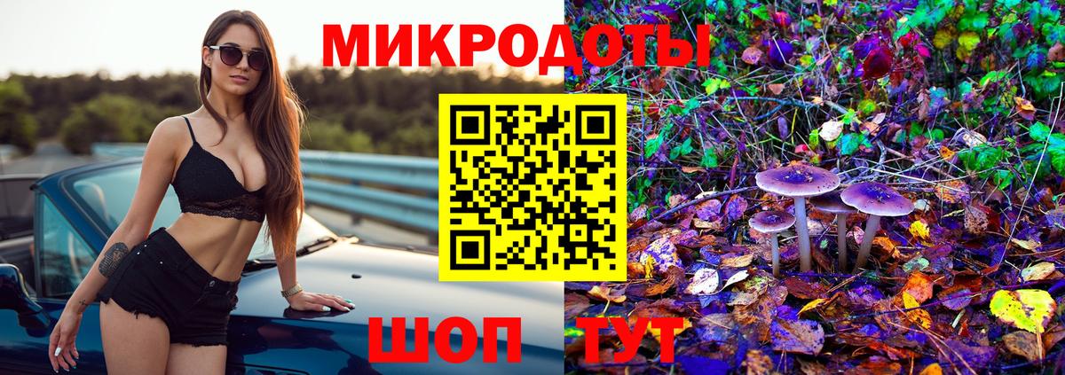 Саранск  Галлюциногенные грибы прущие грибы  Вход с VPN 